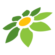 CASINO LINK